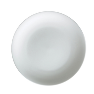 Dining plate